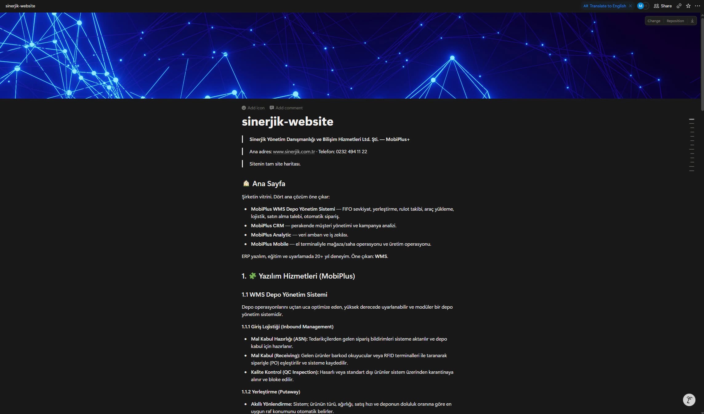Sinerjik source document covering the company, products, services, and site structure