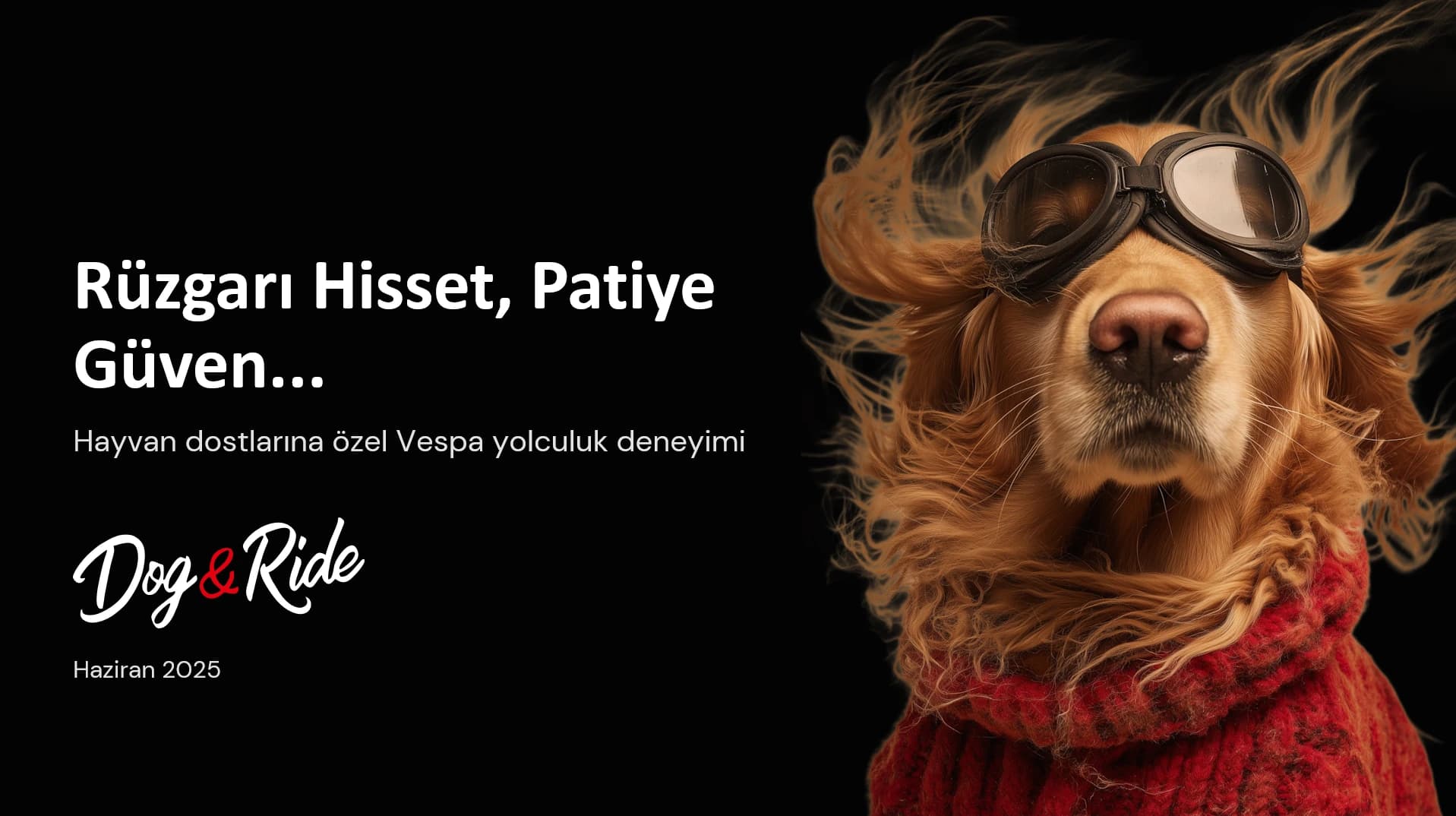 Dog & Ride pitch presentation cover for Vespa