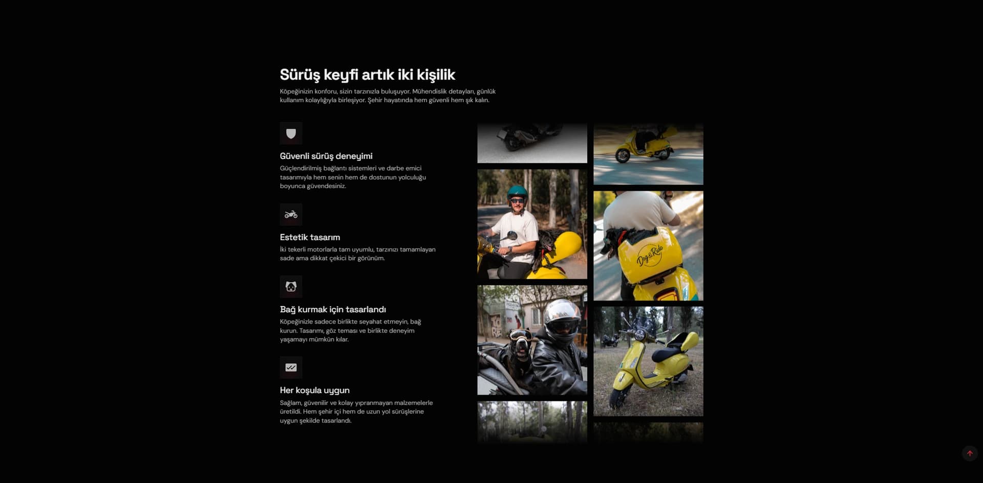 Dog & Ride product features beside photographs of riders and dogs